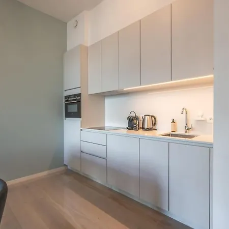 Modern With Spacious Terrace *